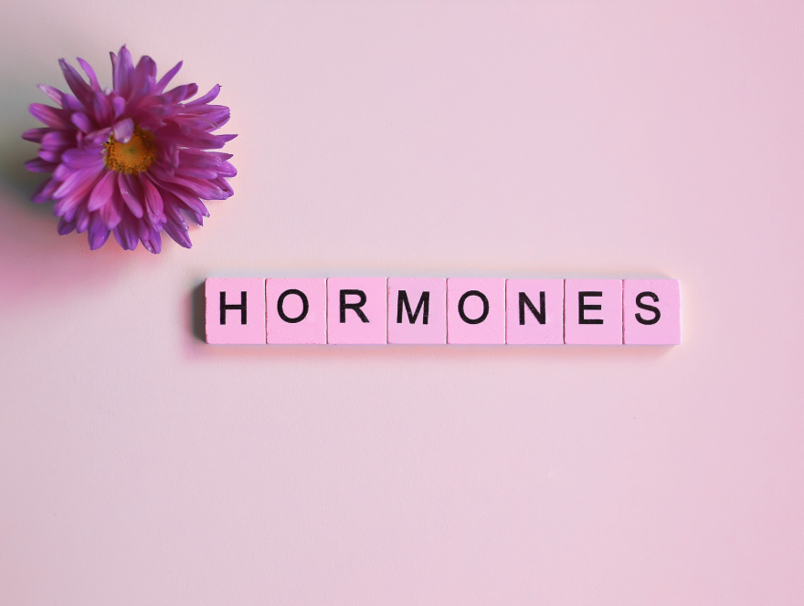 Symbolbild für Hormonberatung - lila Blume und das Wort Hormones aus Buchstabensteinen